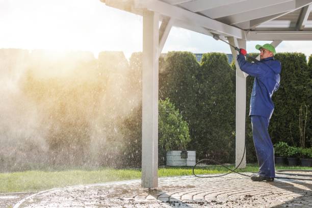  Fayette, LA Pressure Washing Pros