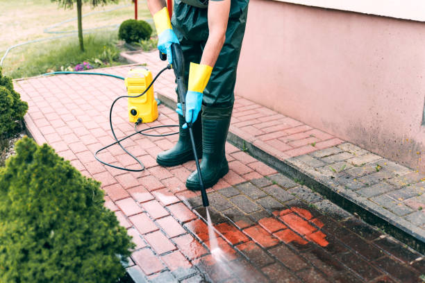 Animal Enclosure Cleaning in Lafayette, LA